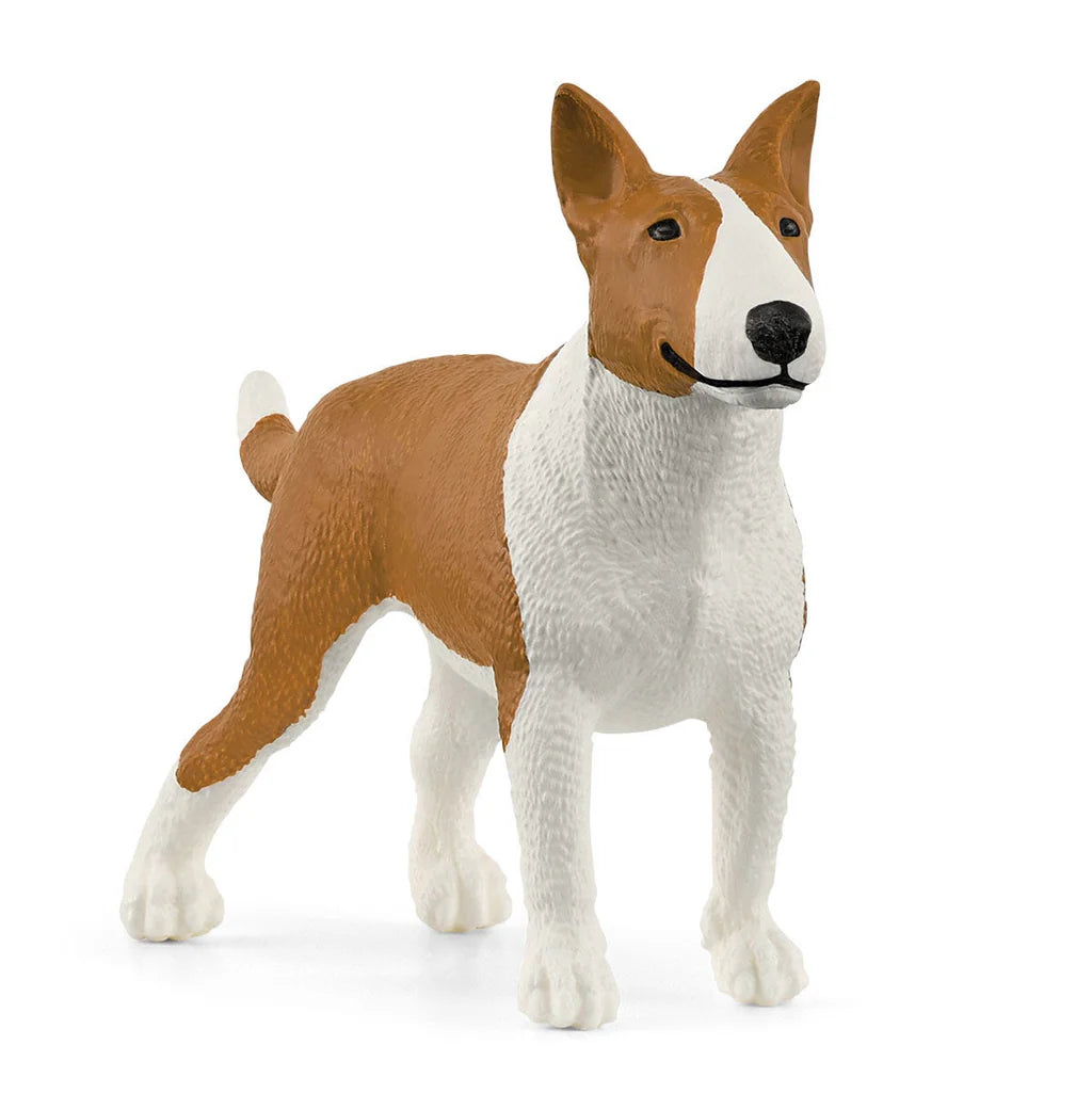 Bull Terrier Farm Dog