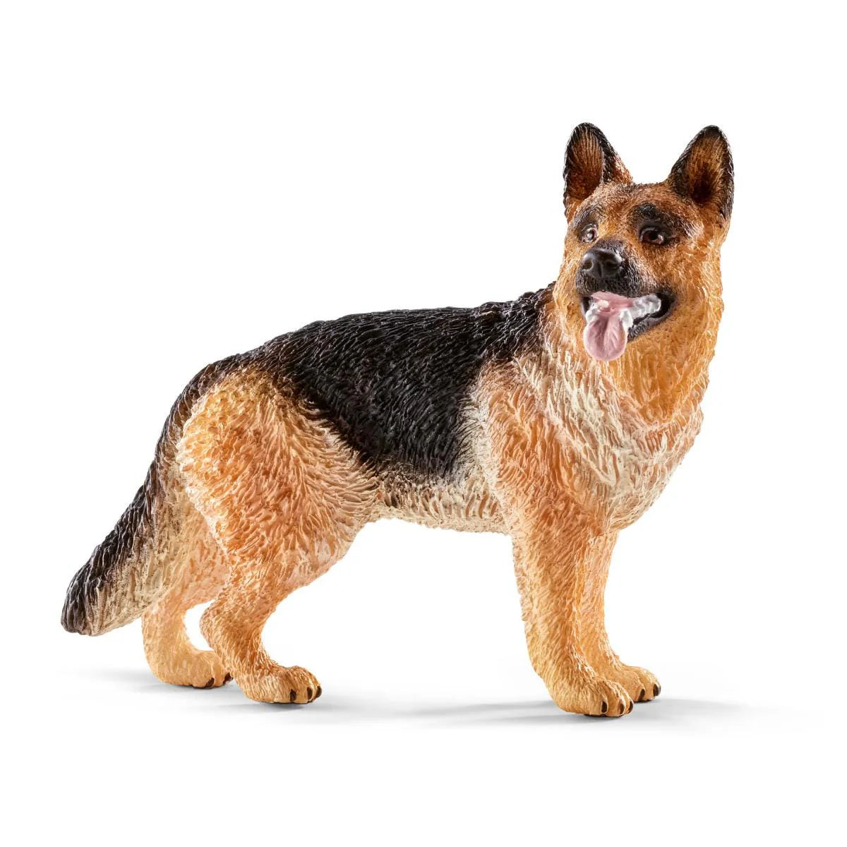 German Shepherd Dog