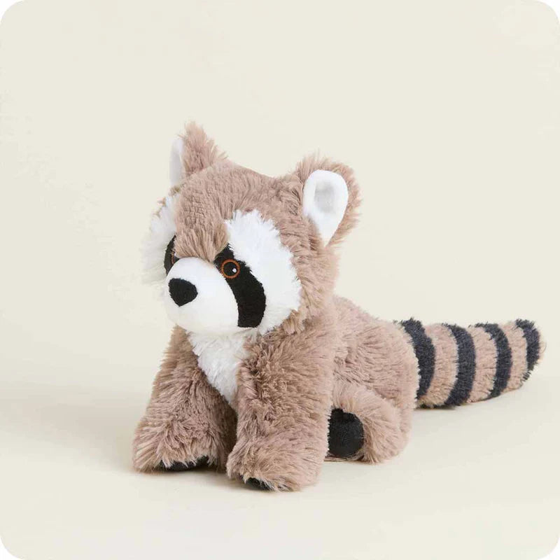 Racoon Warmies Junior