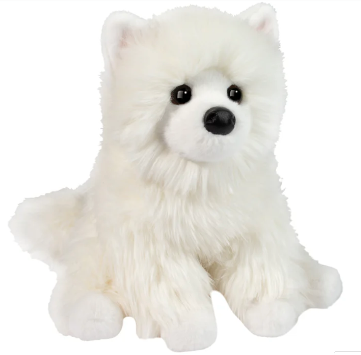 Opo White Pomeranian