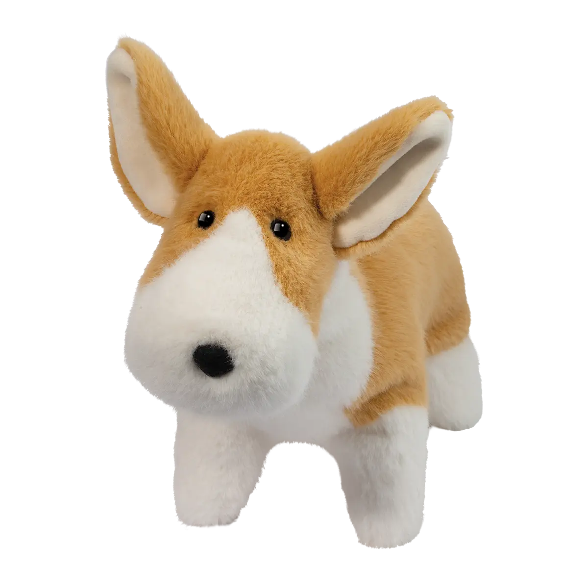 Carl Corgi