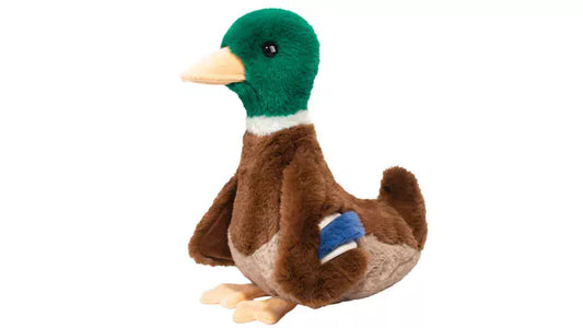 Desie the Mallard Duck, Soft Stuffed Animal