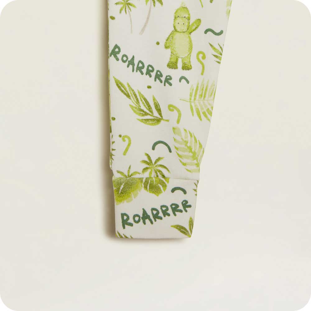 Dinosaur PJ Set 2T