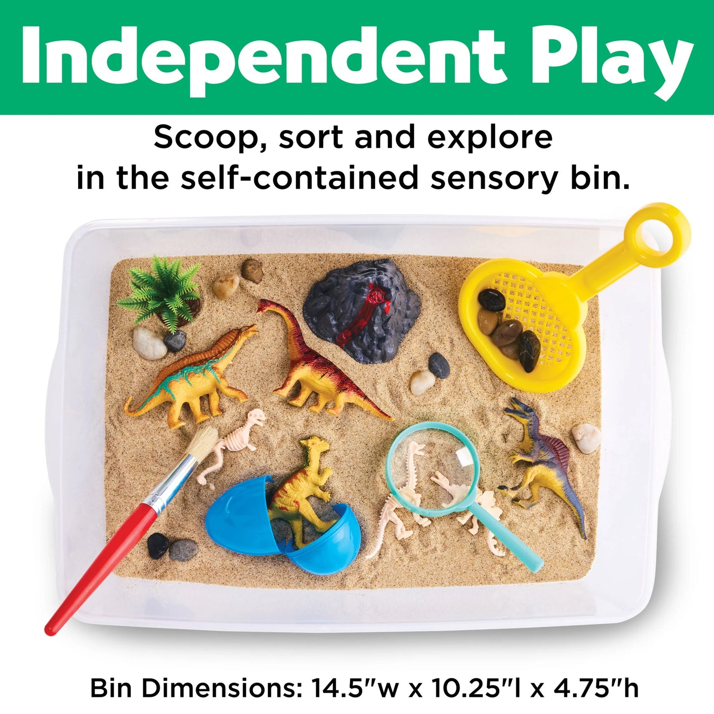 Dinosaur Dig Sensory Bin