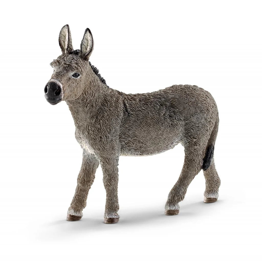 Donkey Farm Animal