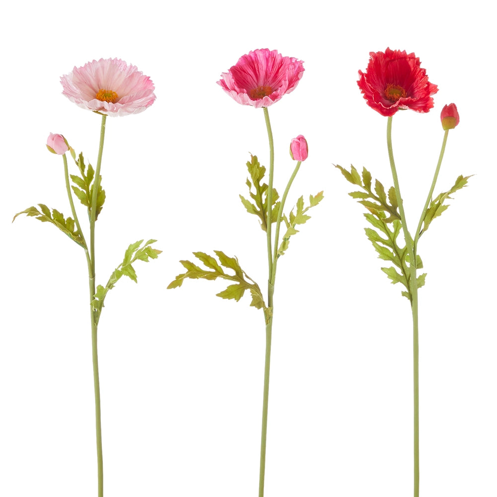 Pink Poppy Stem