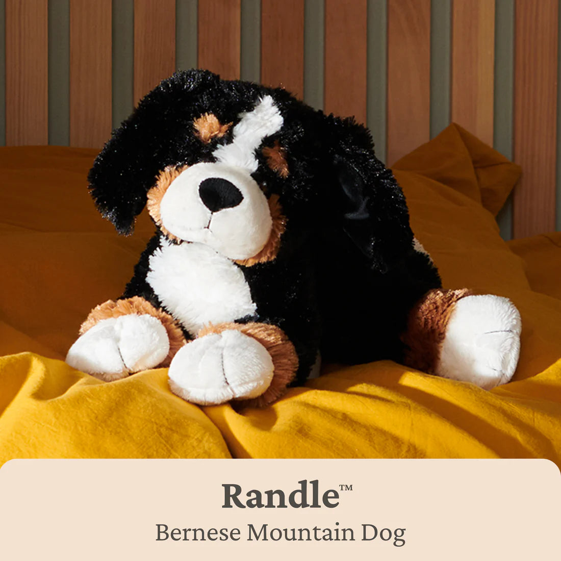 Randle