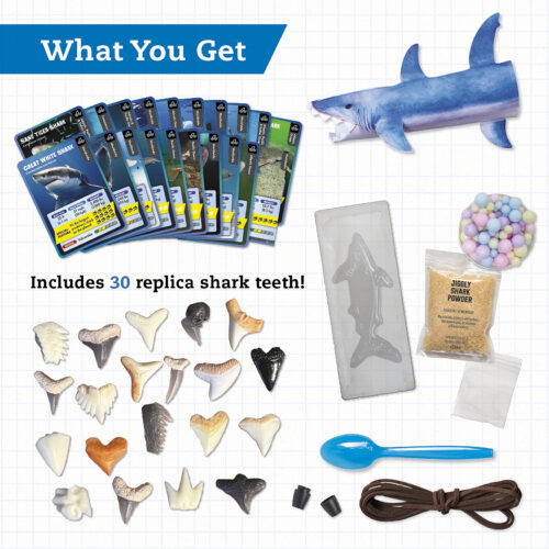 Steam Lab Shark-tastic Teeth