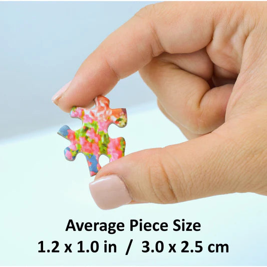 Top Prize Puzzle - 750 pc