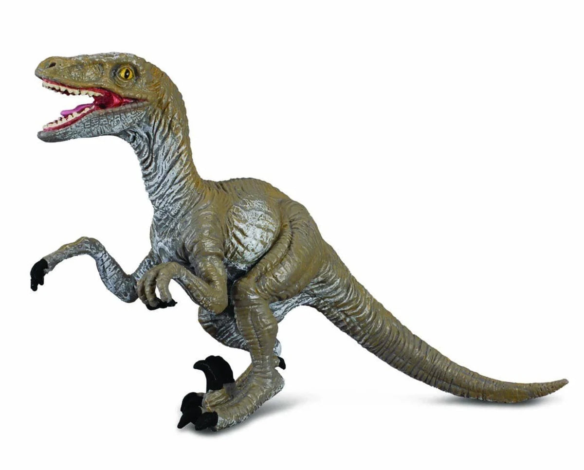Velociraptor