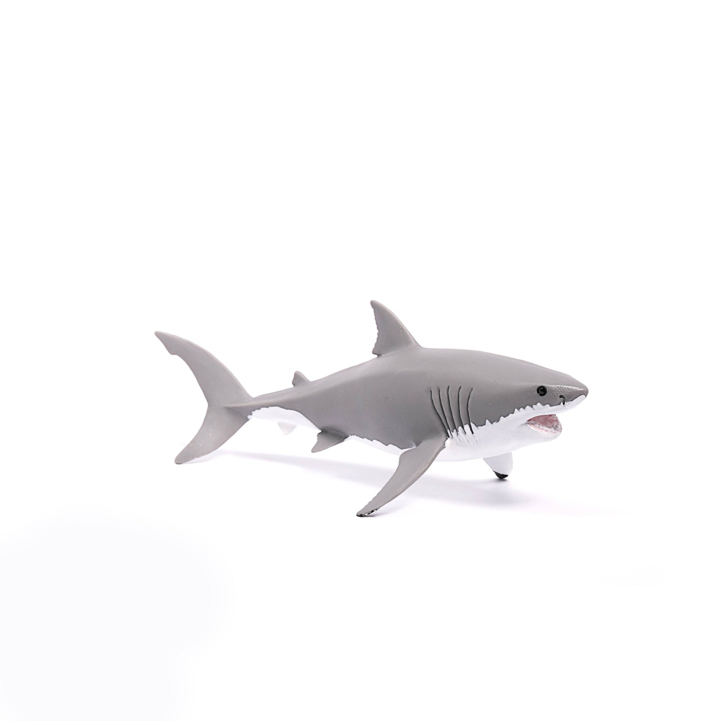 Great White Shark