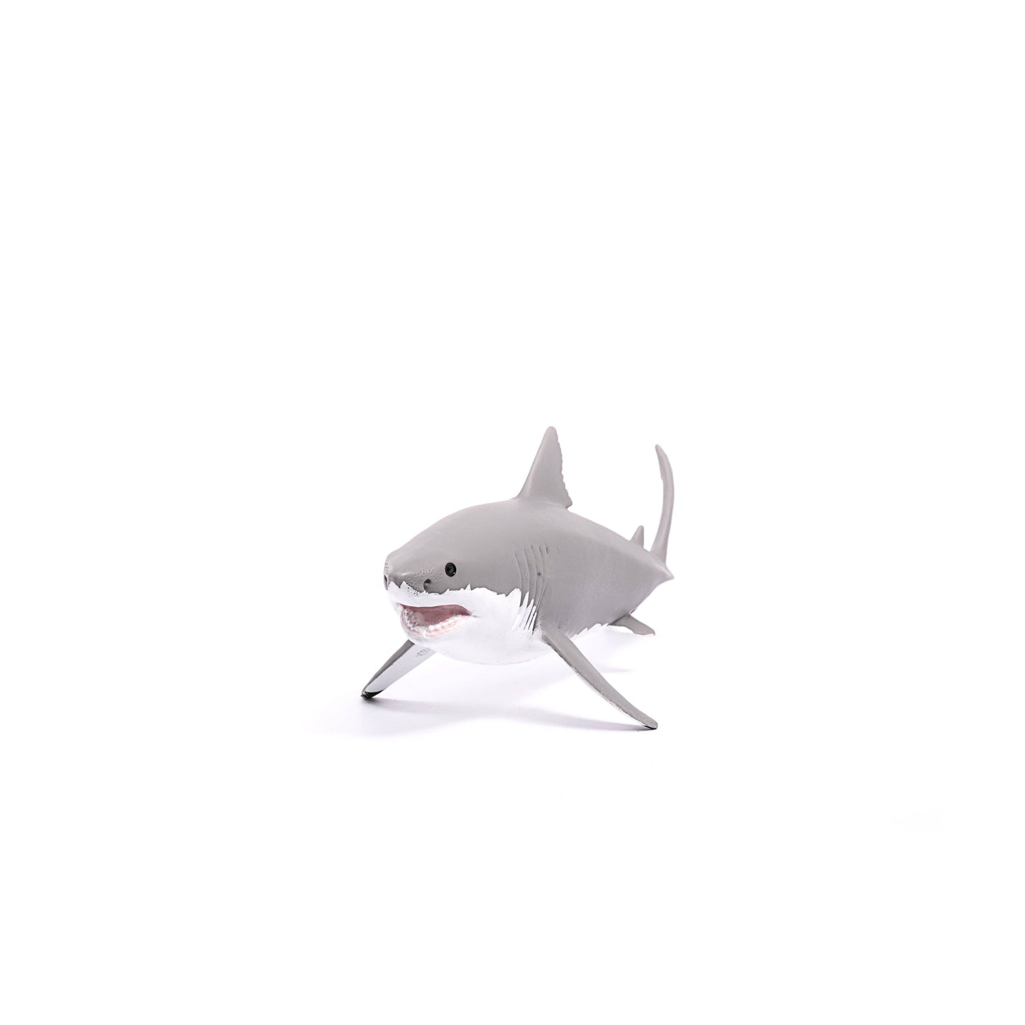 Great White Shark