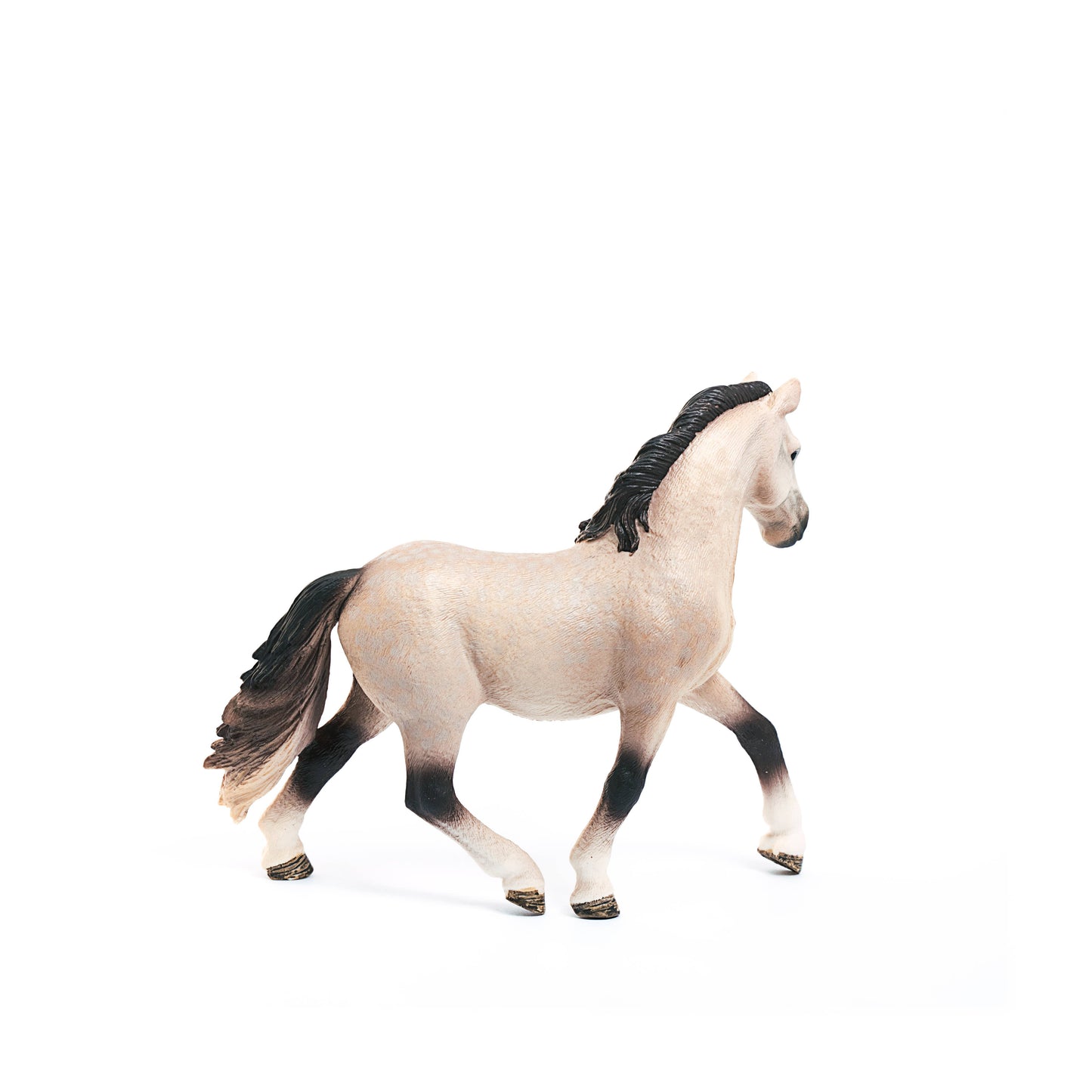 Andalusian Mare