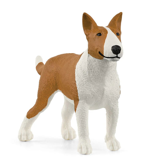Bull Terrier Farm Dog