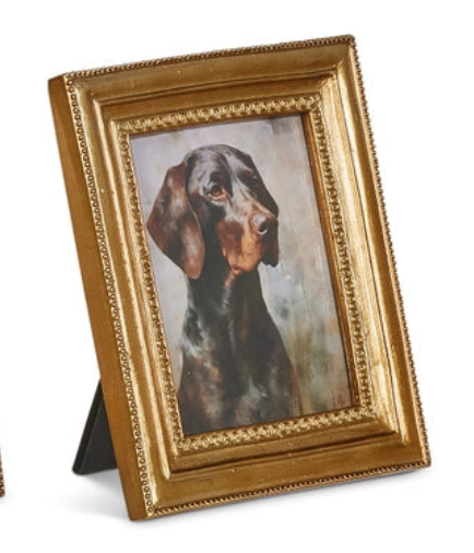 Vintage Bird Dog Framed Print
