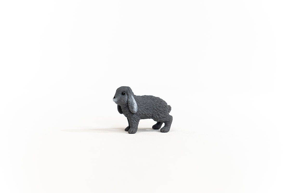 Lop-Eared Rabbit