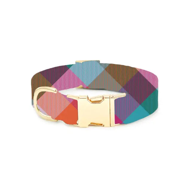 Color Pop Plaid Dog Collar