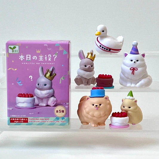 Birthday Party Animals Surprise Box