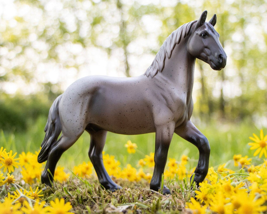 Blue Roan Brabant Horse