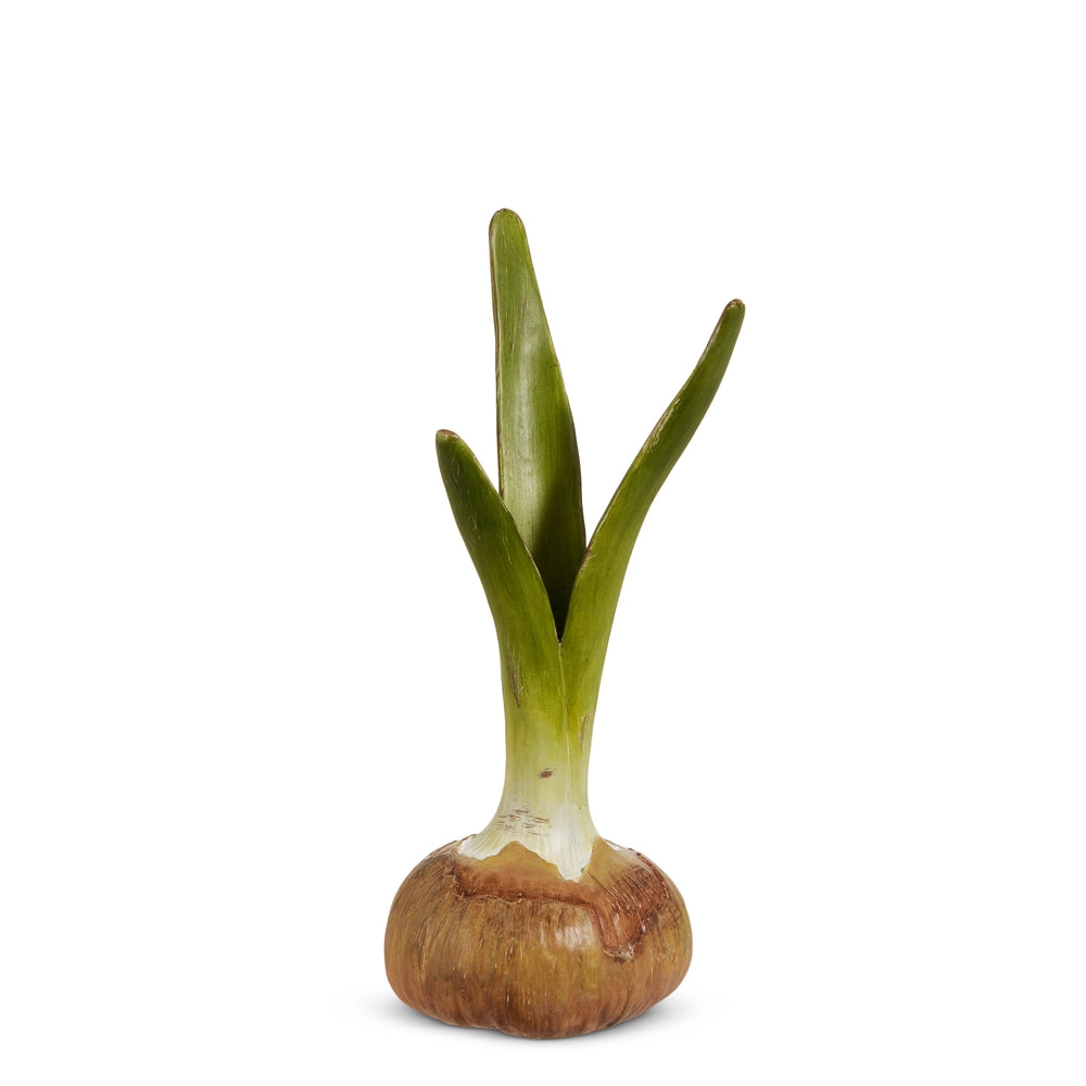 Bulb Vase