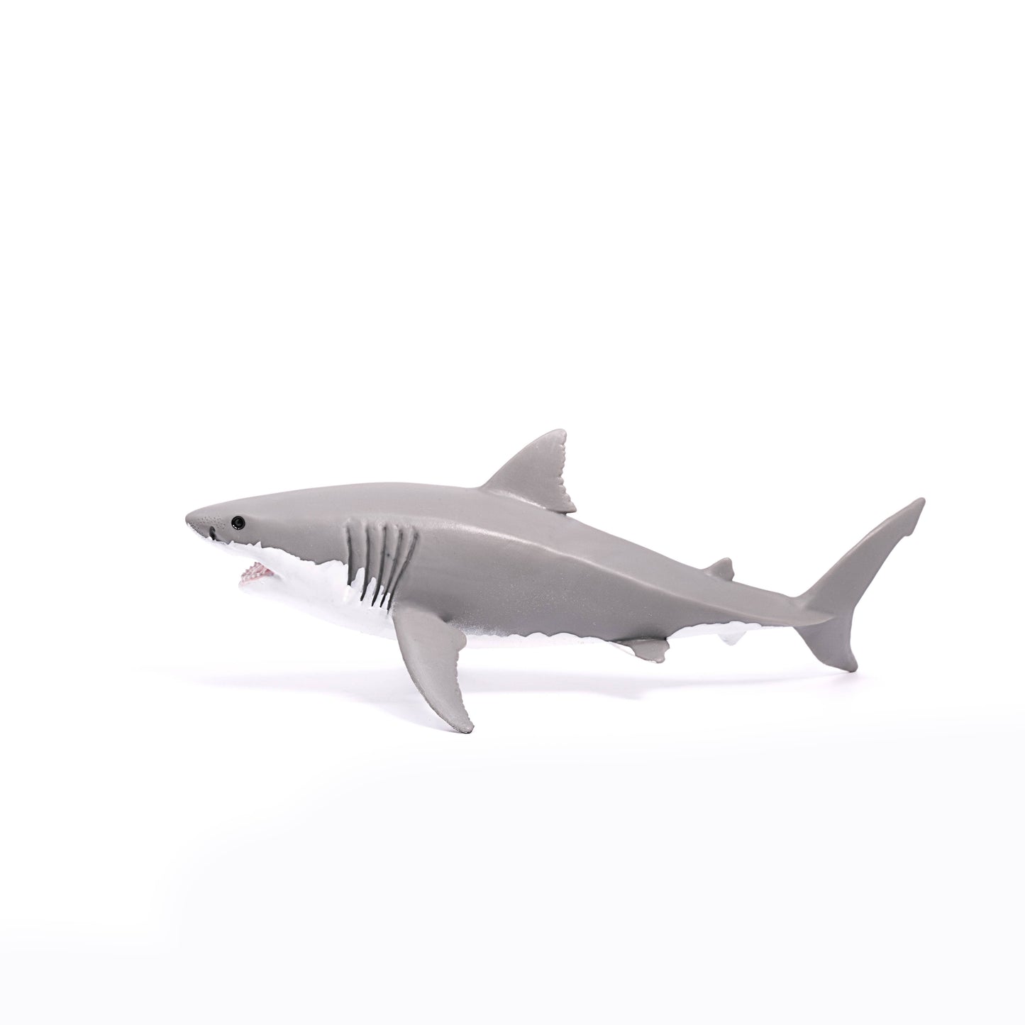 Great White Shark