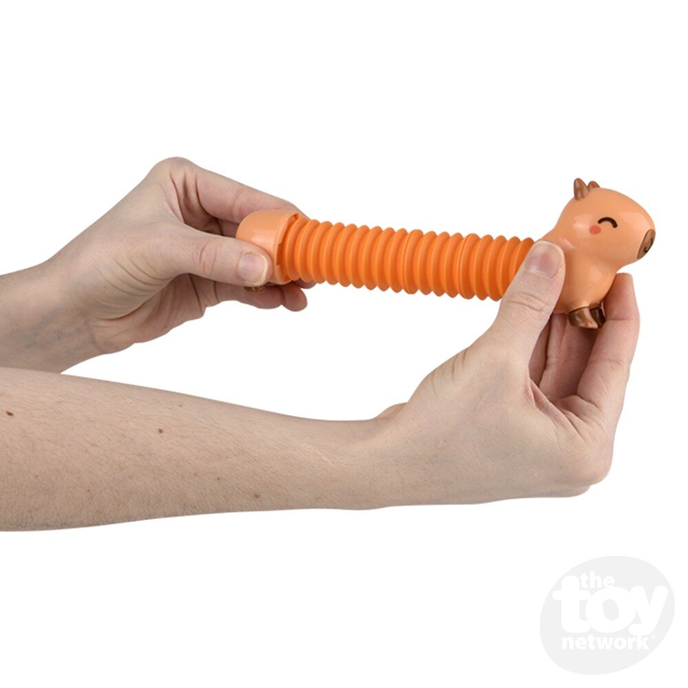 Capybara Fidget Pop Tube