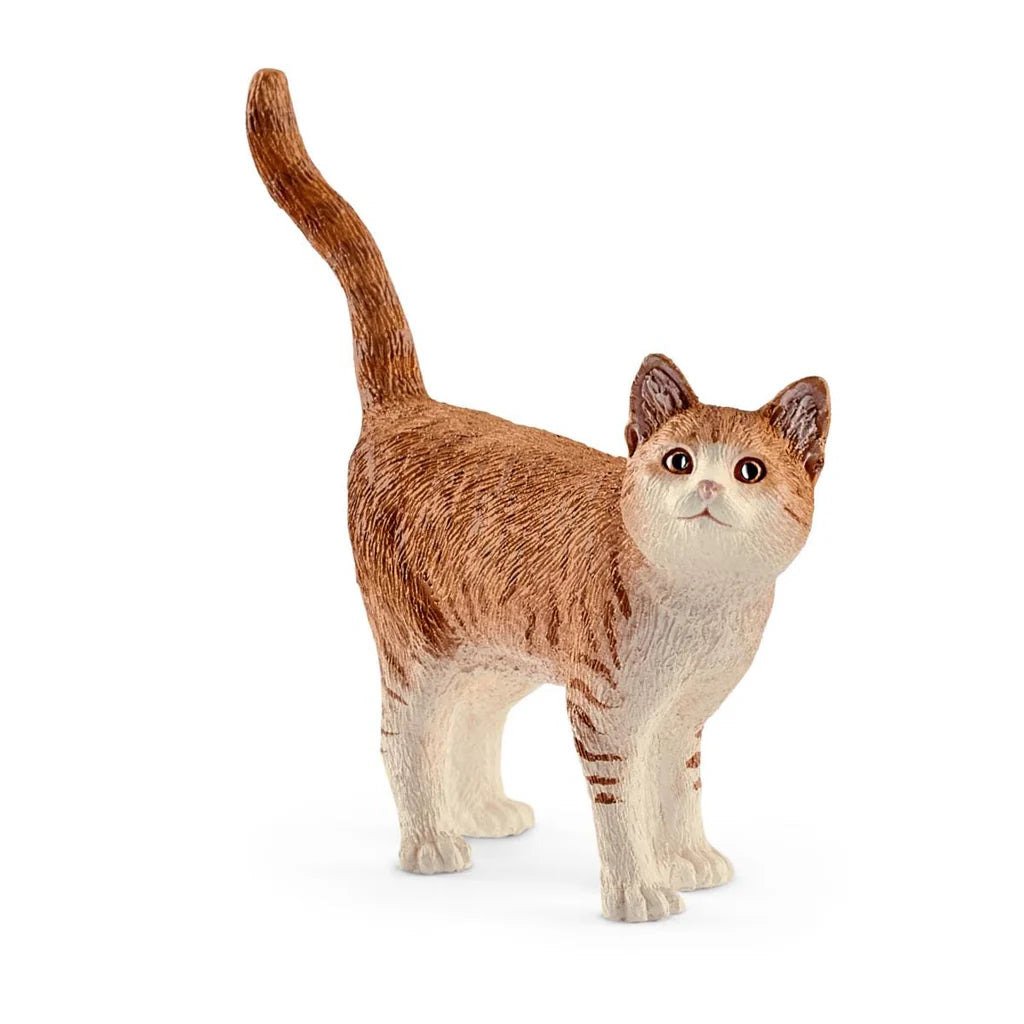 Cat Farm Animal
