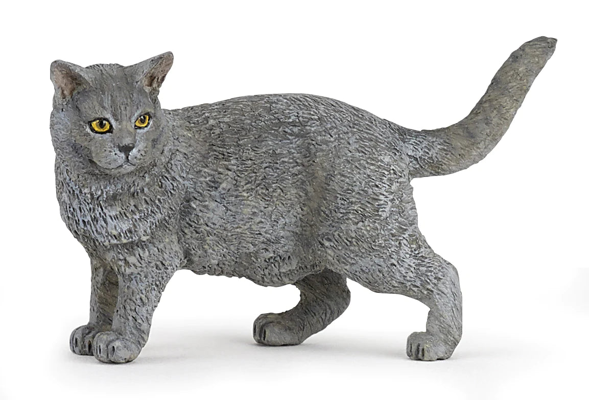 Chartreux