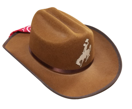 Cowboy Hat with Bandana