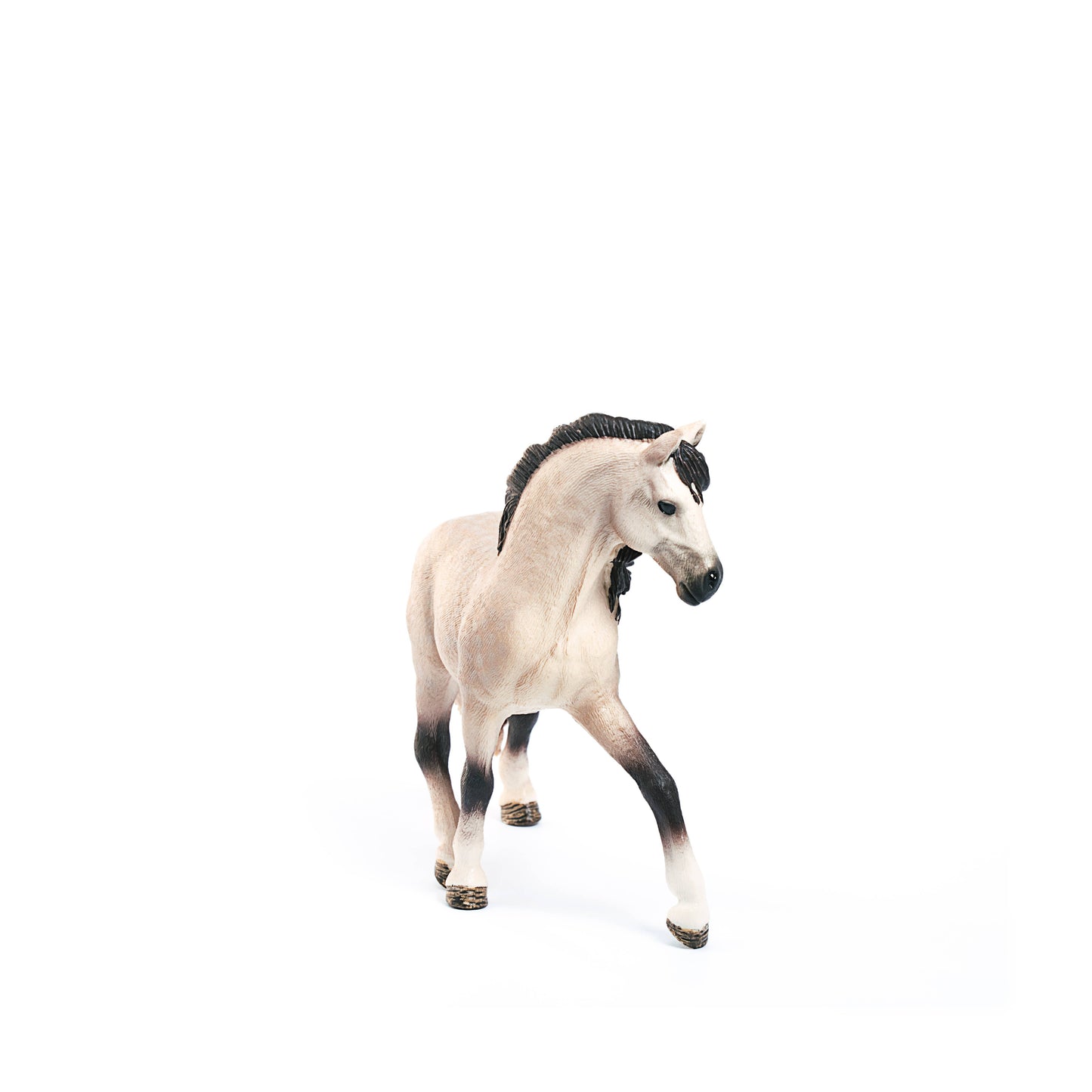 Andalusian Mare