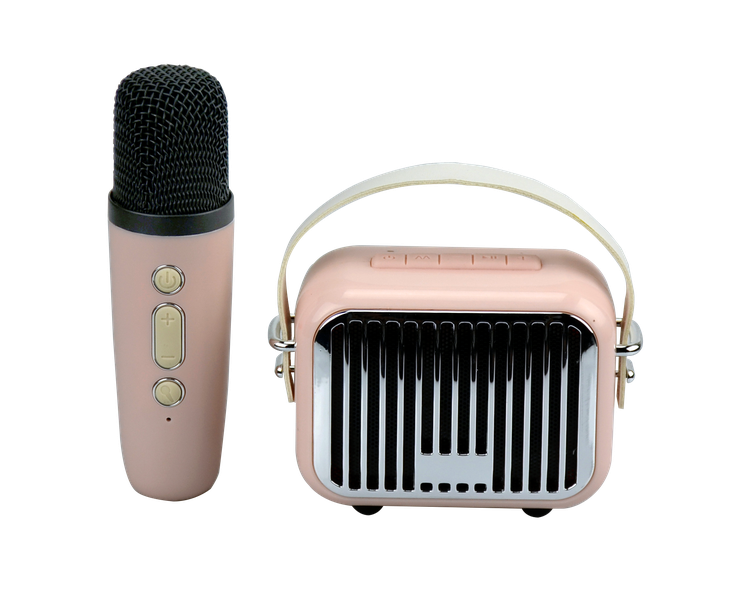 Pocket Karaoke - Pink