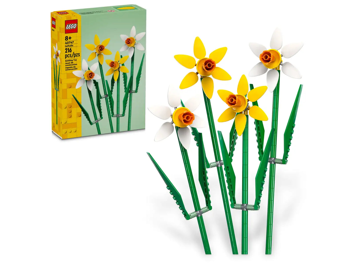 Daffodils