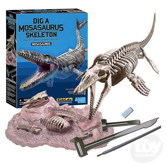 Dig A Mosasaurus Skeleton