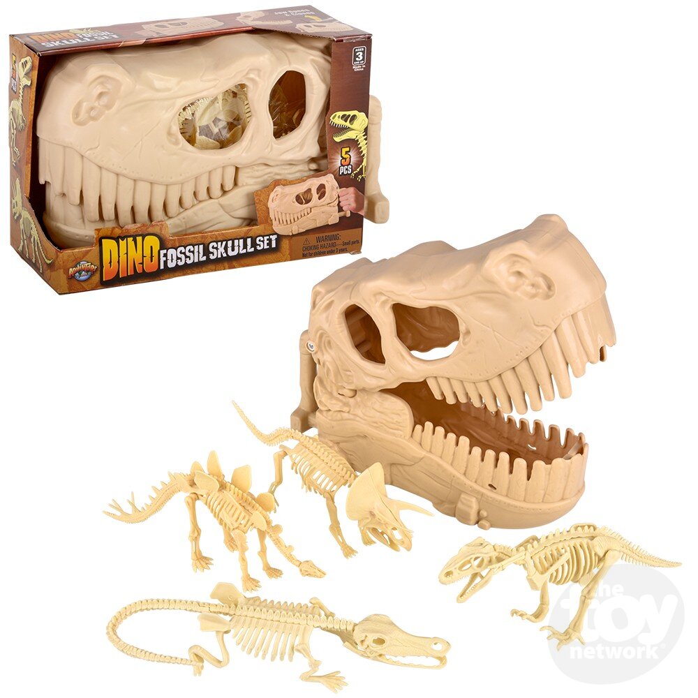 Dinosaur Fossil Skull Set 10"
