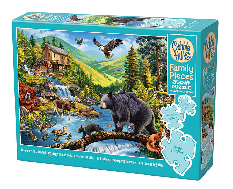 A Family Affair Puzzle