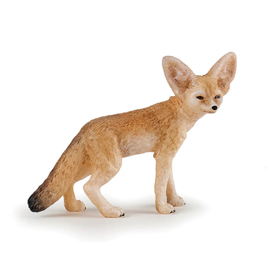 Fennec Fox