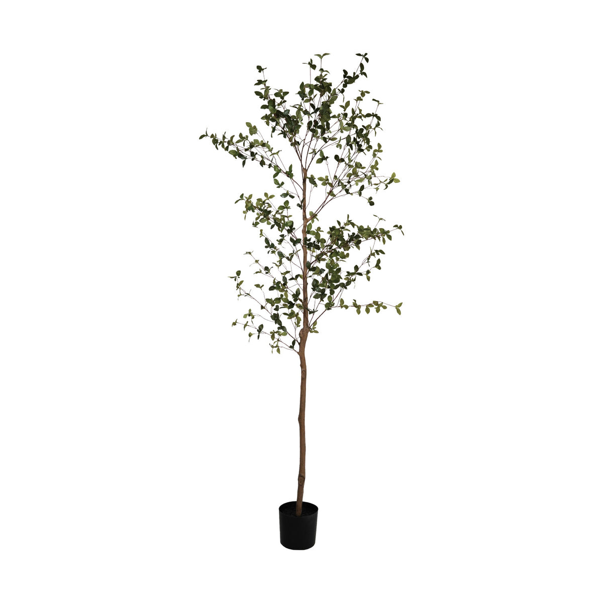 Faux Ficus Tree