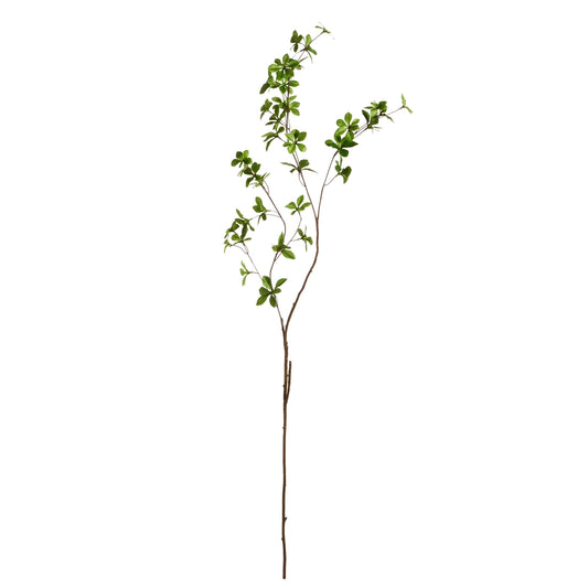 Foliage Branch