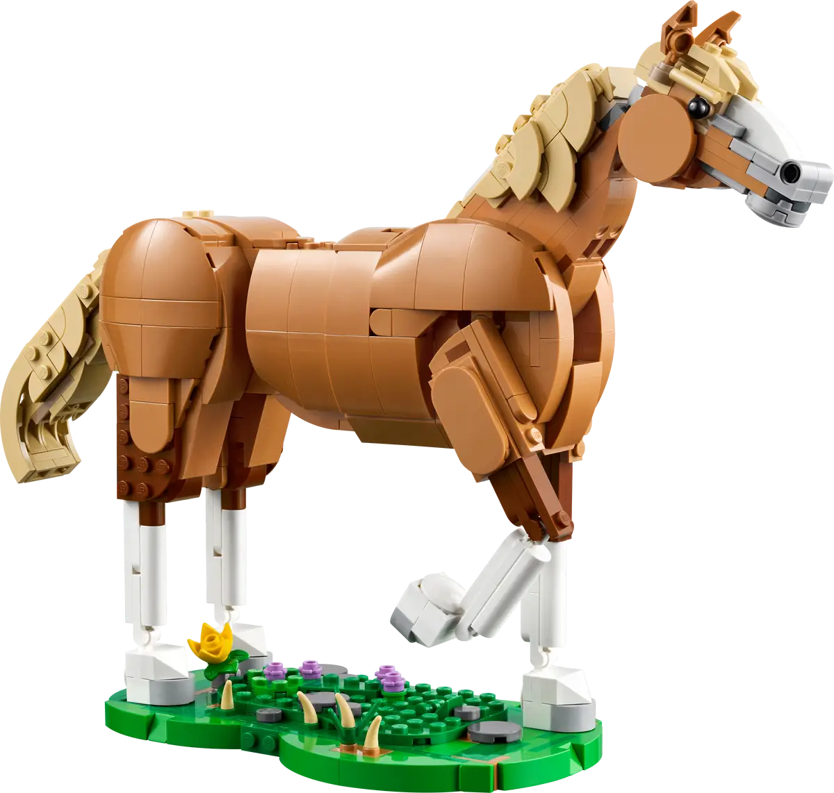 Beautiful Horse