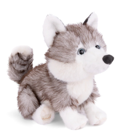 Sweet Husky Plush