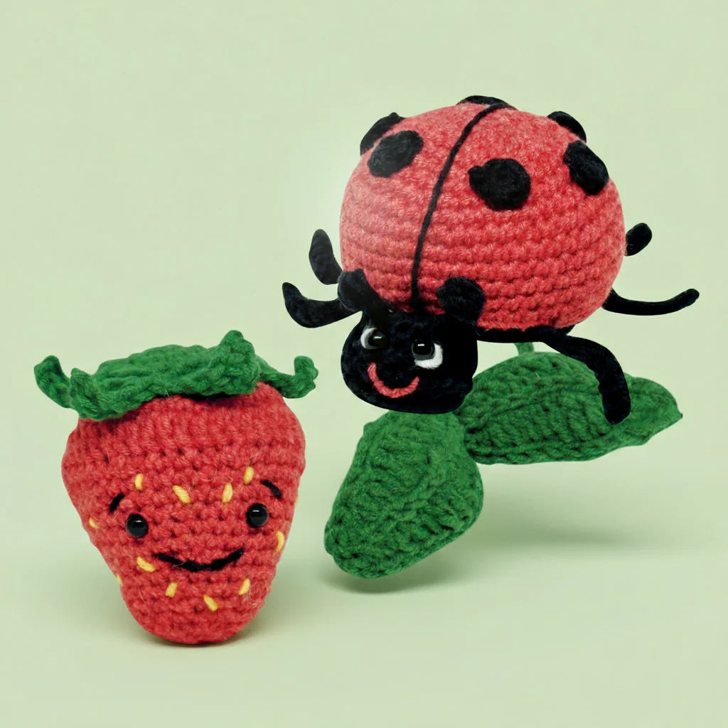 Crochet Kit - Strawberry or Ladybug