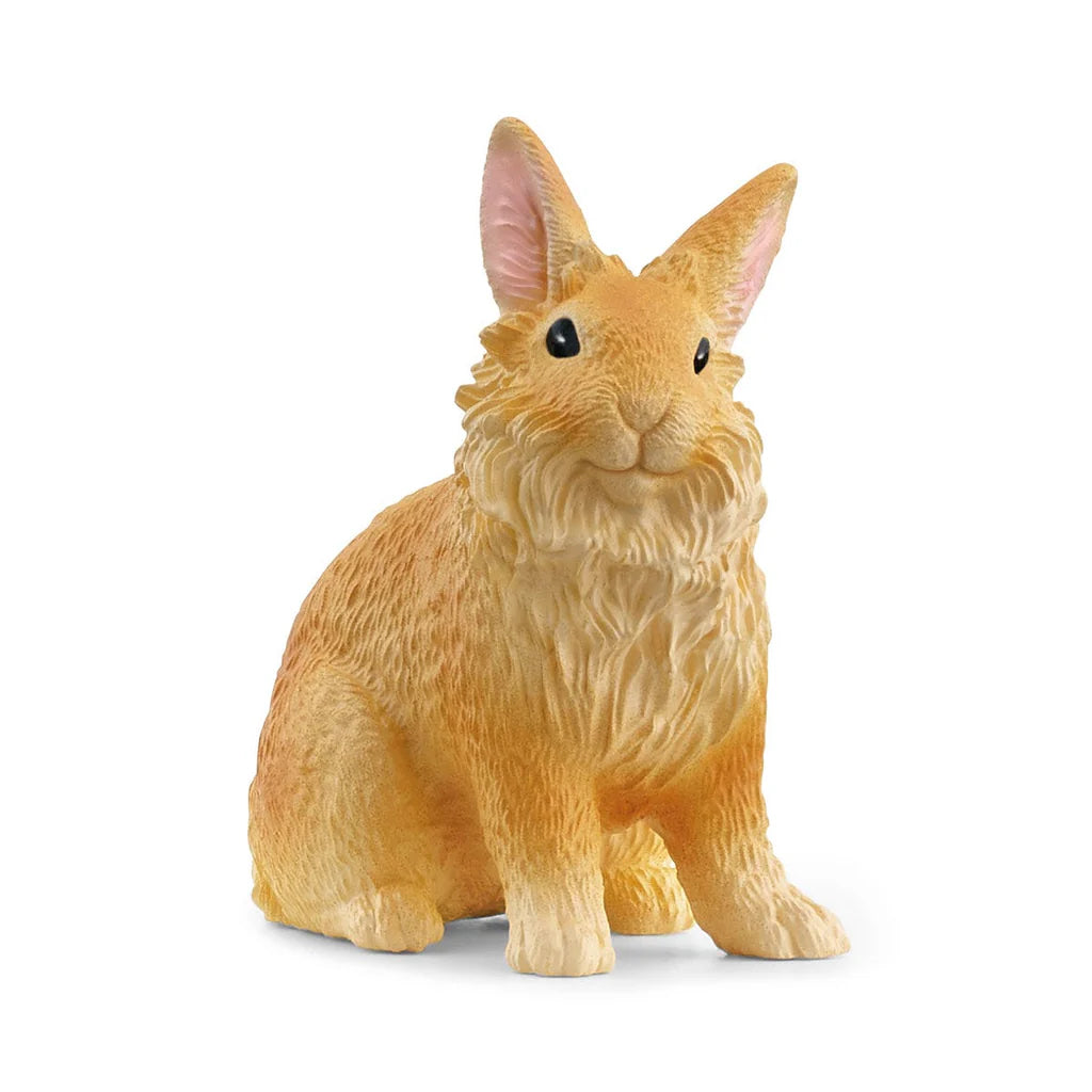 Lionhead Rabbit Farm Animal