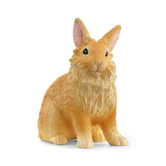 Lionhead Rabbit Farm Animal