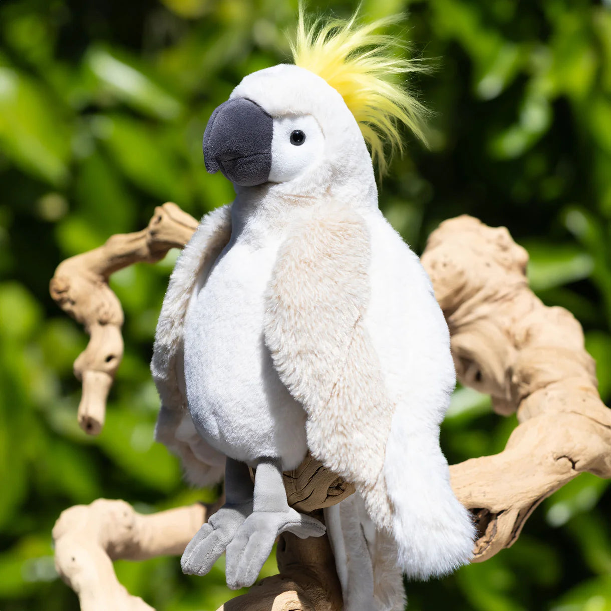 Mango Plush