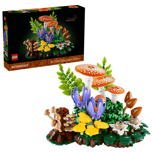 Woodland Mushrooms