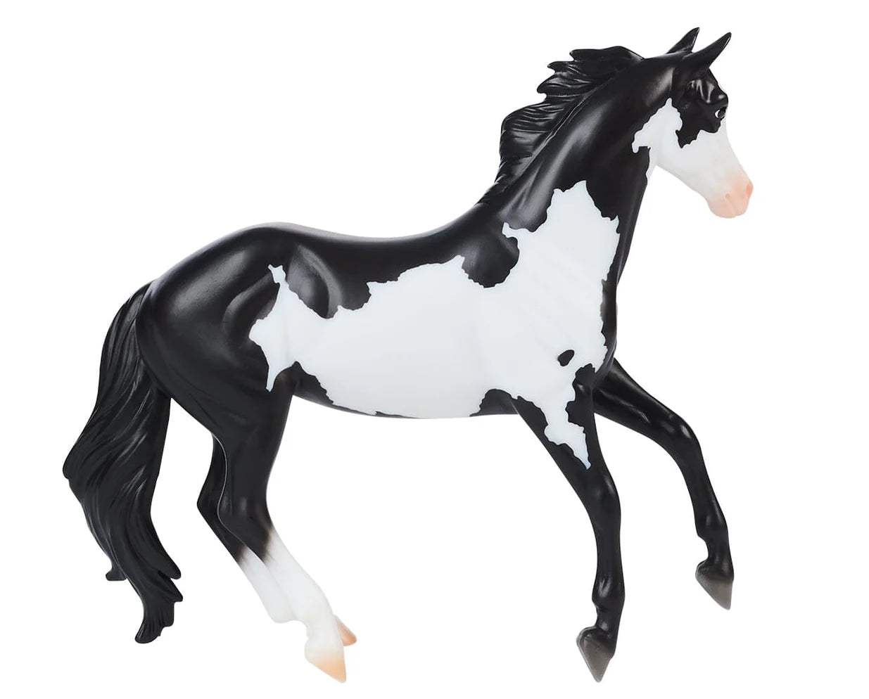 Black Overo Stock Horse