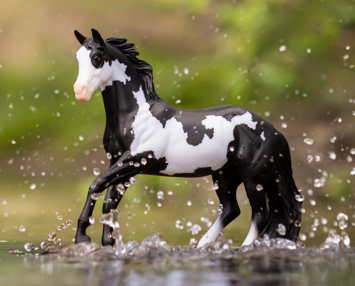 Black Overo Stock Horse