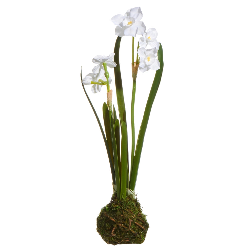 Paperwhite Drop In Faux Plant