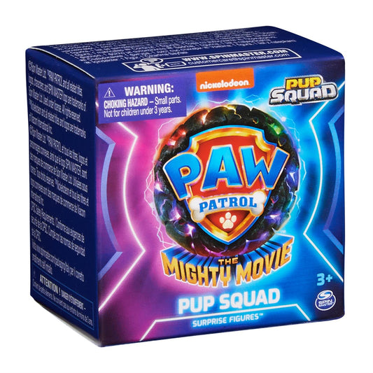 Paw Patrol Surprise Squad Box Assorted