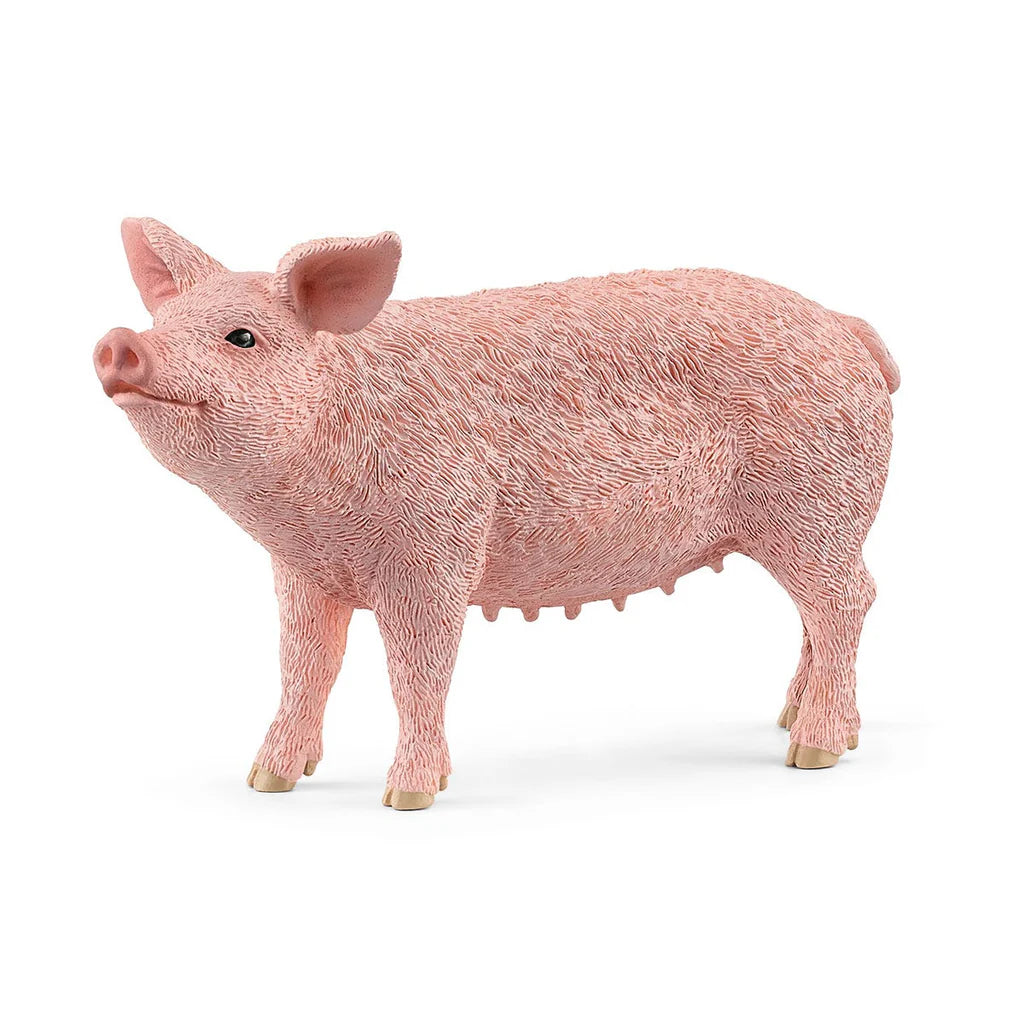 Pig Farm Animal